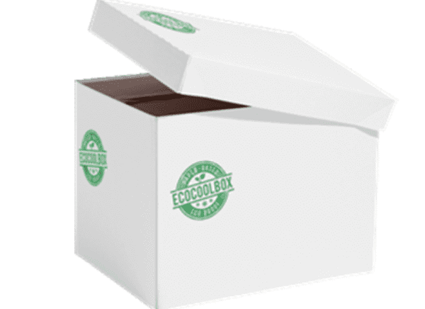 Eco Coolbox 400 x 300 x 300 mm balta